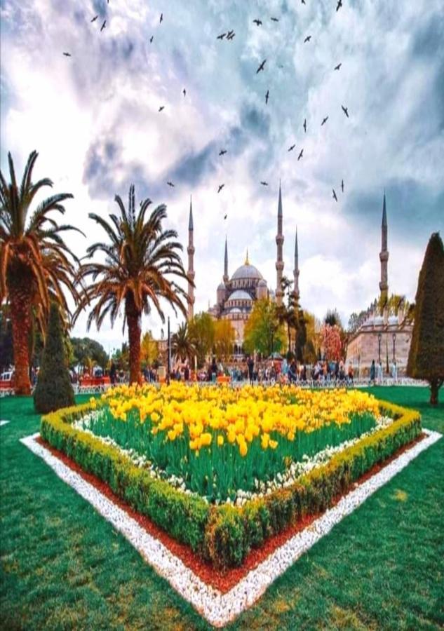 Yasin Apart Hotel Istanbul Exterior foto