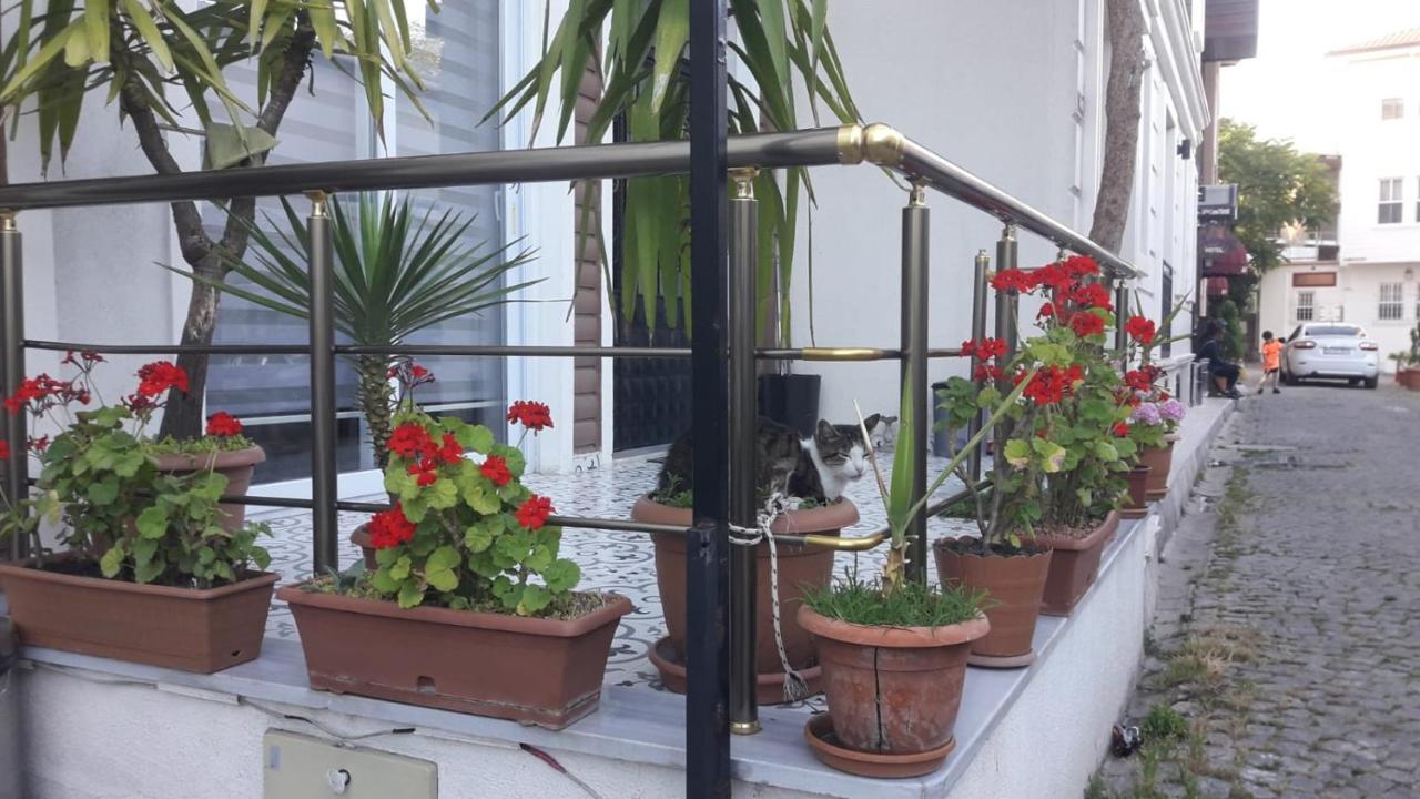 Yasin Apart Hotel Istanbul Exterior foto